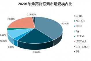 2021-2027年中國蜂窩物聯(lián)網(wǎng)市場深度調(diào)查與前景展望