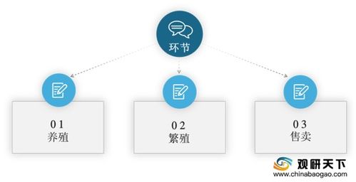 2020年中國寵物繁殖與活體交易市場調研報告 深度分析與未來商機預測